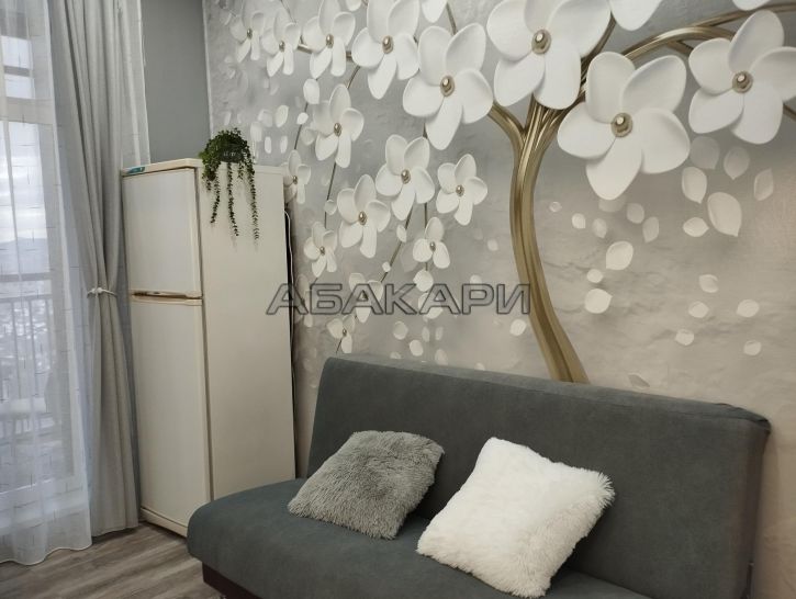 1-комн квартира Свободный проспект, 66М