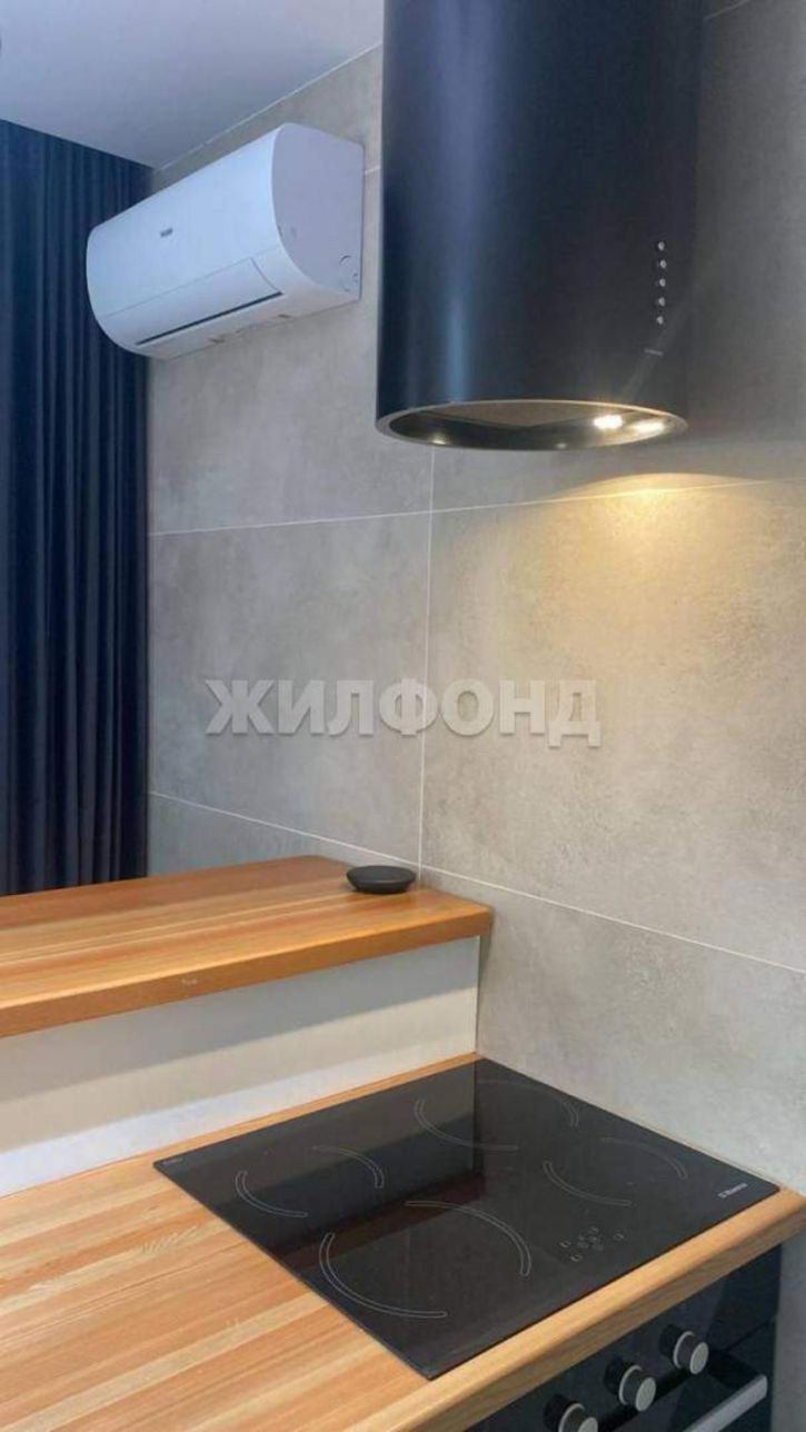 1-комн квартира Академгородок улица, д.66