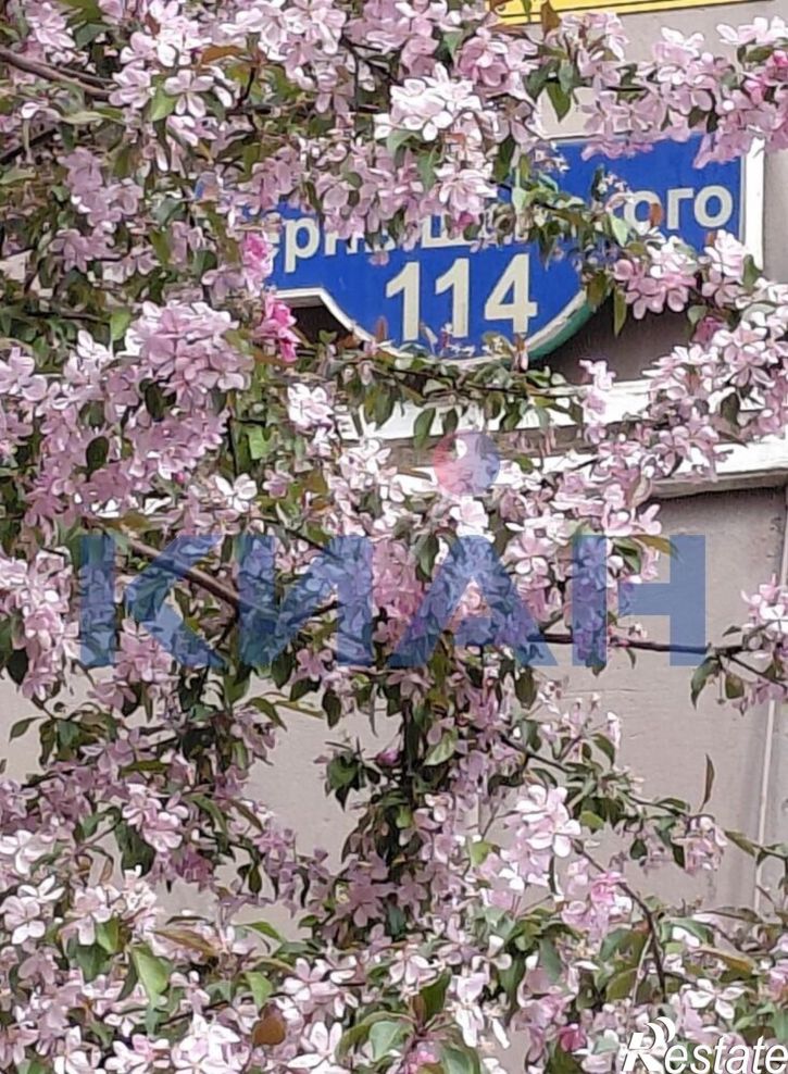 1-комн квартира Чернышевского ул., 114
