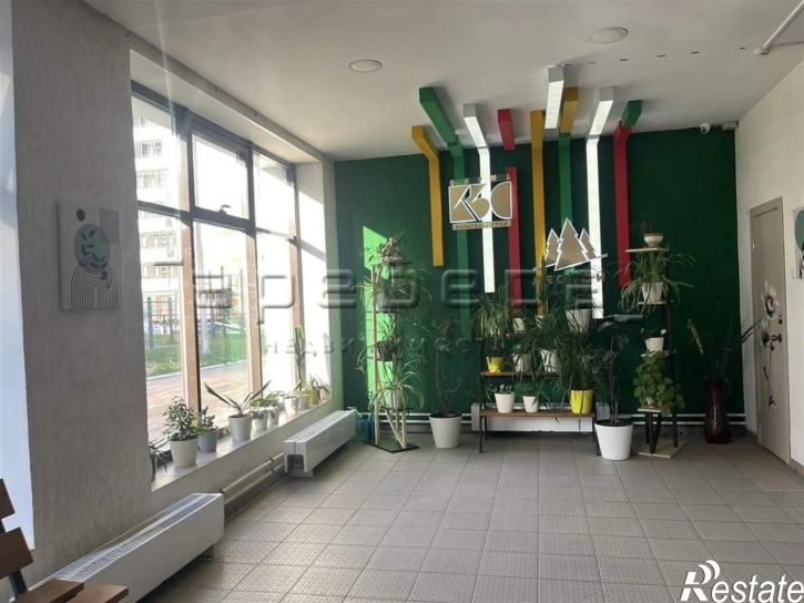 1-комн квартира Елены Стасовой, 50в