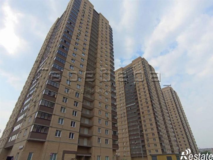 1-комн квартира Дудинская, 2ж