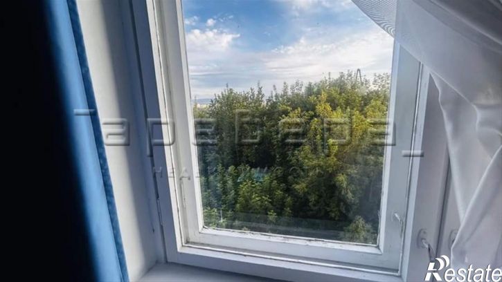 4-комн квартира Сергея Лазо, 28