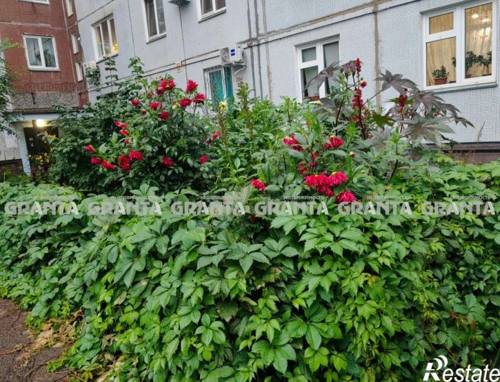 2-комн квартира ул 78 Добровольческой бригады, 5