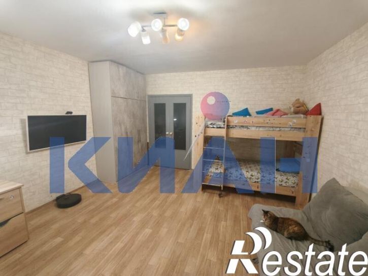 1-комн квартира Алеши Тимошенкова ул., 159